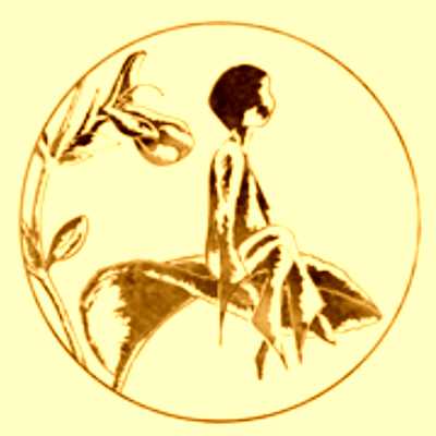 Image de profil de Association Salvia