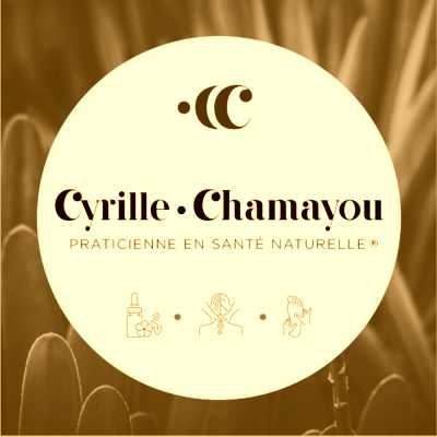 Image de profil de Cyrille CHAMAYOU