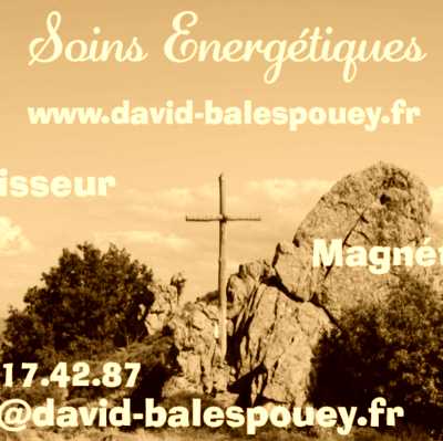 Image de profil de David-BALESPOUEY.fr