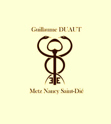 Image de profil de Guillaume Duaut