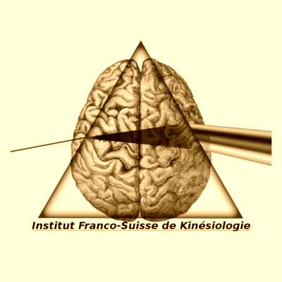 Image de profil de Guillaume Pina - kinésiologue - Institut Franco-Suisse de Kinésiologie