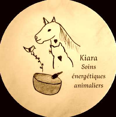 Image de profil de Kiara, soins énergétiques animaliers