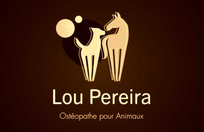 Image de profil de Lou Pereira