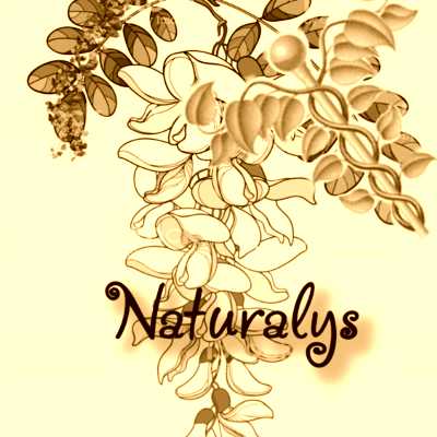 Image de profil de Naturalys