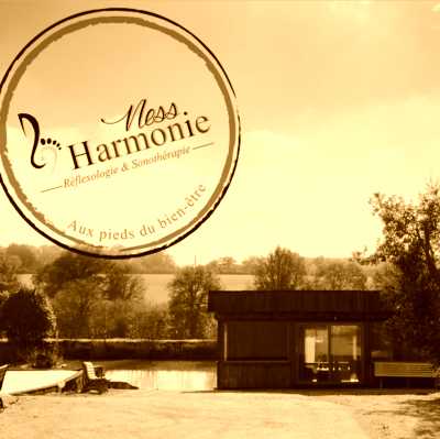 Image de profil de Ness harmonie