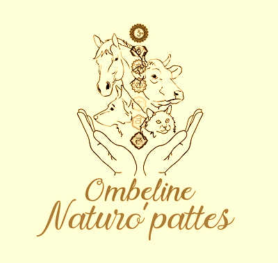 Image de profil de Ombeline Bel