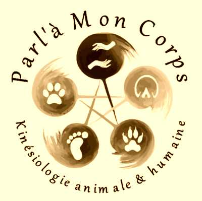 Image de profil de Parlà Mon Corps - Anaïs Panisset