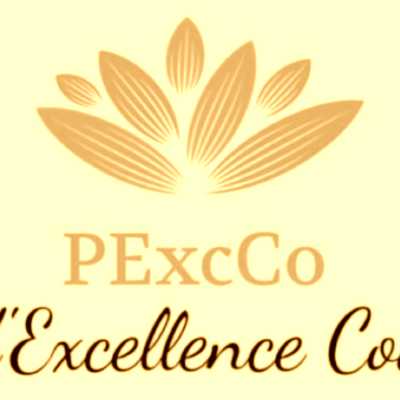 Image de profil de PExcCo