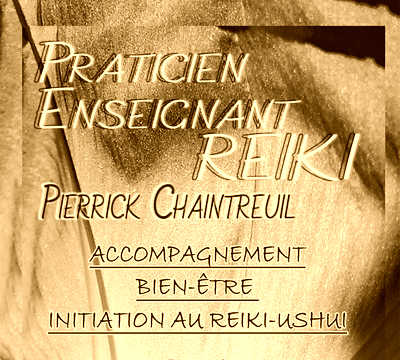 Image de profil de Pierrick Chaintreuil