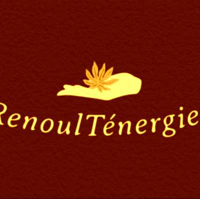 Image de profil de RenoulTénergies