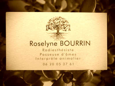 Image de profil de Roselyne Bourrin