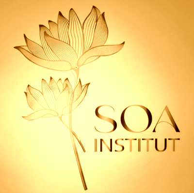 Image de profil de Soa institut